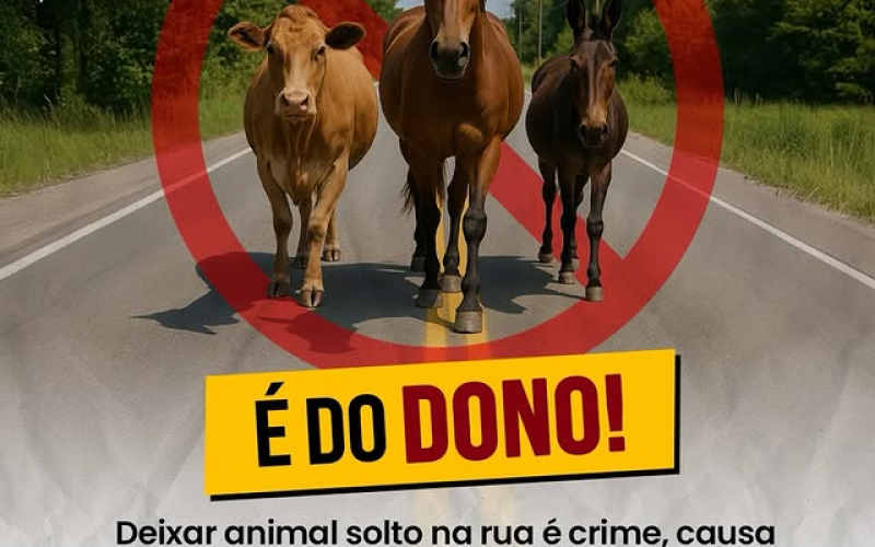 A culpa não é do animal — é do dono!